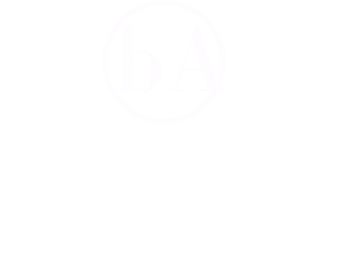 Bay Area Capital Management LLC